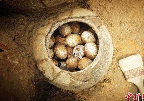 Археологи обнаружили куриные яйца, возраст которых около 2500 лет