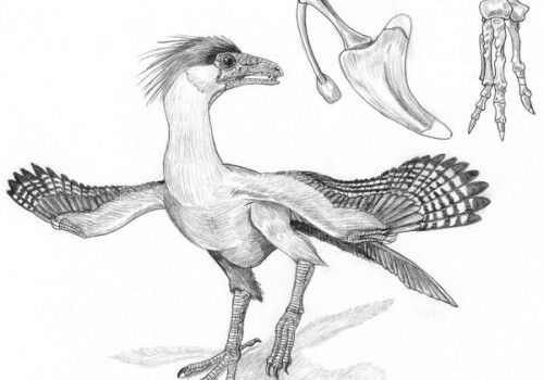 Страусу сделали пластиковые крылья, чтобы он полетел как динозавр