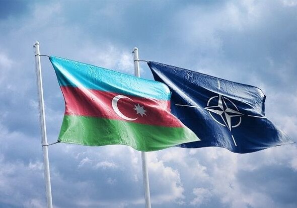 У Азербайджана и НАТО крепкие партнерские связи - заявление МИД