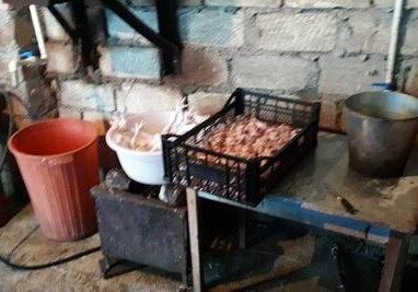 В Самухе обнаружен нелегальный цех по переработке кур (Фото)