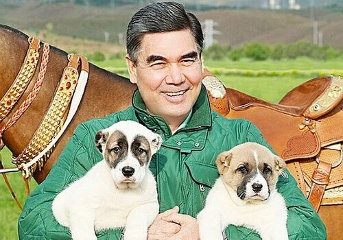 Президент Туркменистана напишет книгу об алабаях