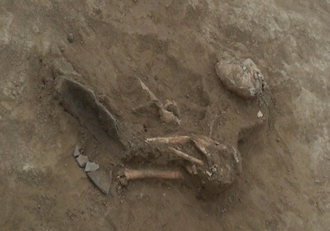 В Газахе обнаружены останки древних людей, убитых из лука (Фото)