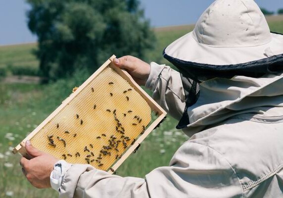 В интересах пчеловодов