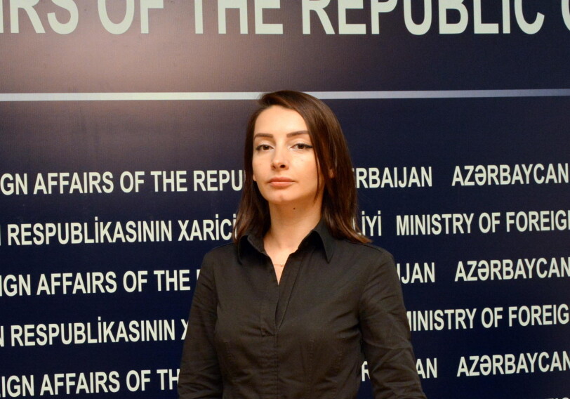Лейла Абдуллаева: «Трудно понять логику руководства Армении»