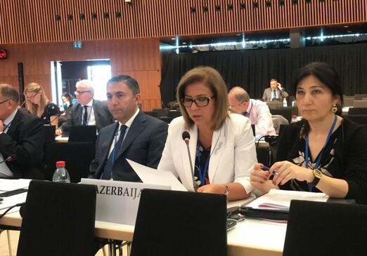 На заседании ПА ОБСЕ принята поправка, предложенная азербайджанской делегацией (Фото)