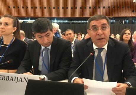 Кямран Набизаде на сессии ПА ОБСЕ: «Второе армянское государство на Кавказе невозможно»