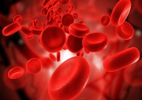 Ученые обнаружили бактерию, способную менять группу крови