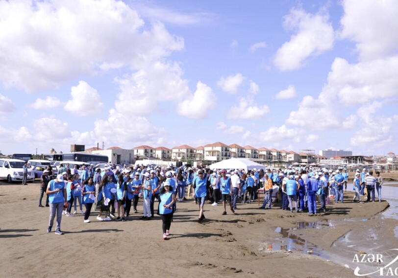 IDEA отметила Международный день очистки побережья на общественном пляже (Фото)