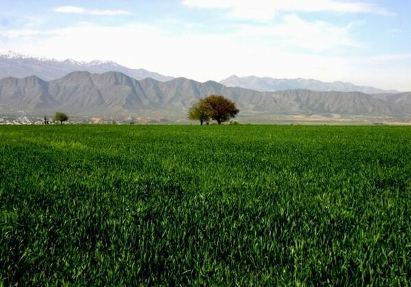 Принята Национальная стратегия Туркменистана по изменению климата
