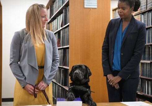 Присяга для лабрадора: в США пес принят на работу в прокуратуру (Фото)