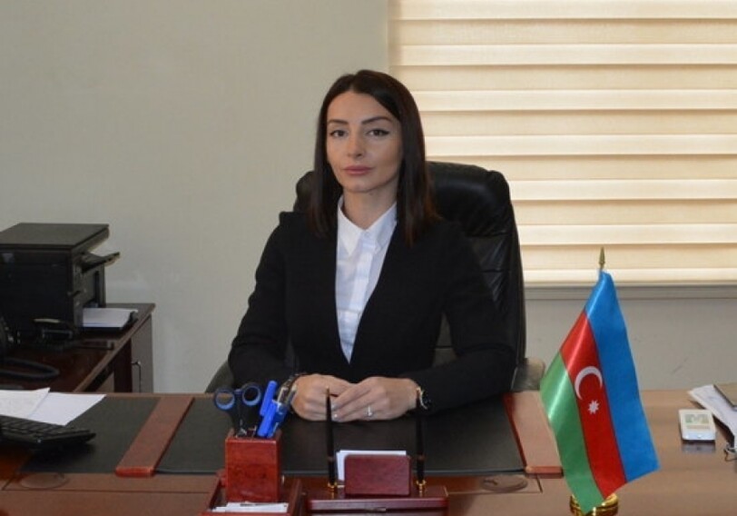 Лейла Абдуллаева: «Очень cложно понять премьер-министра Армении»