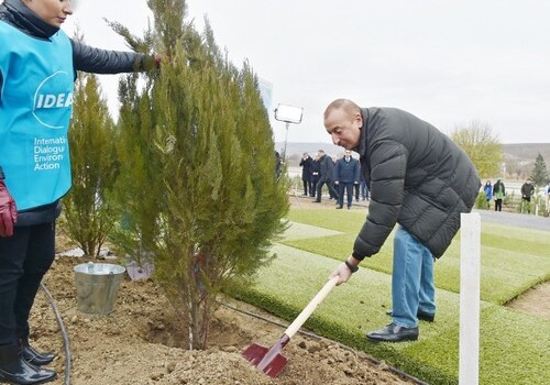 Президент Азербайджана и первая леди приняли участие в акции по посадке деревьев (Фото-Видео-Обновлено)
