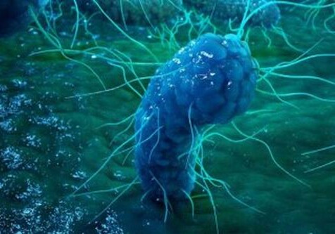 Бактерии, которые не боятся антибиотиков, могут стать причиной гибели человечества