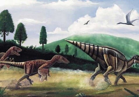 В костях динозавра нашли «человеческую» болезнь