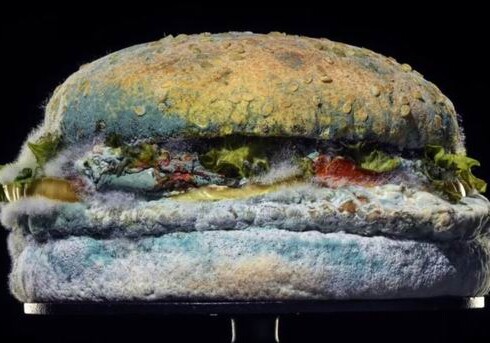 Burger King выпустил рекламный ролик с заплесневелым бургером - Компания отказывается от искусственных добавок 