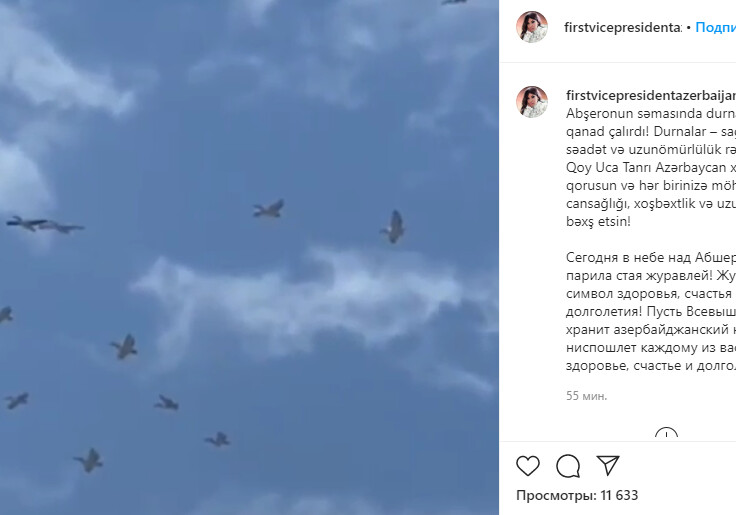 Мехрибан Алиева поделилась в Instagram интересным постом (Видео)