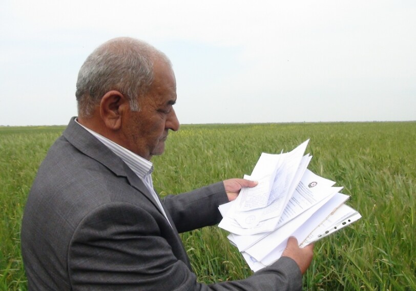 Обращение к Президенту семей, у которых отобраны земли в Билясуваре, взято под контроль (Фото)